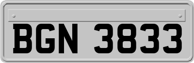 BGN3833