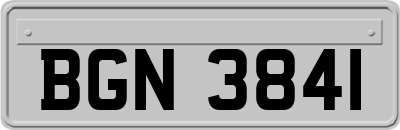 BGN3841