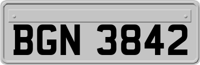 BGN3842