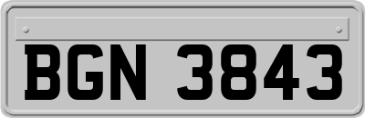 BGN3843