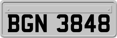 BGN3848