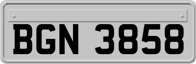 BGN3858