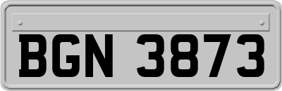 BGN3873