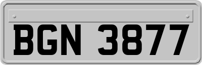 BGN3877