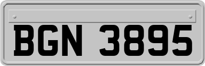 BGN3895