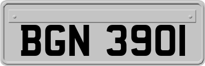 BGN3901