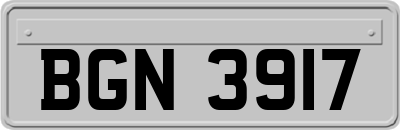 BGN3917