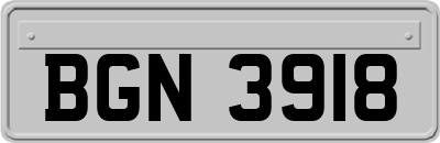 BGN3918