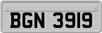 BGN3919