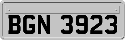 BGN3923