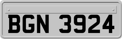 BGN3924