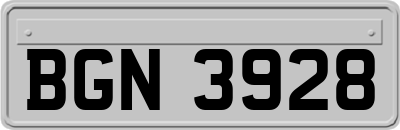BGN3928