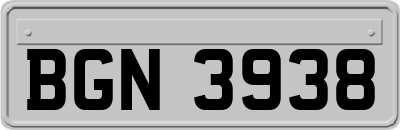 BGN3938