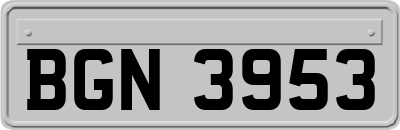 BGN3953