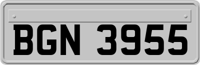 BGN3955