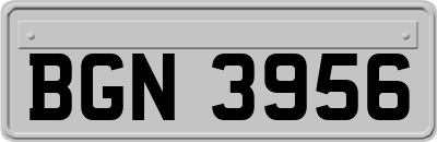 BGN3956