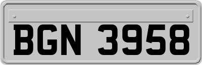 BGN3958