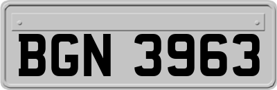 BGN3963