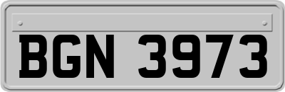 BGN3973