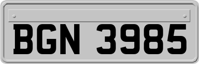 BGN3985