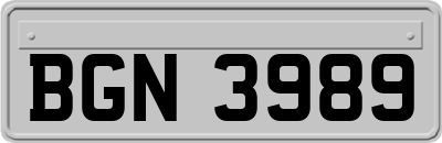 BGN3989