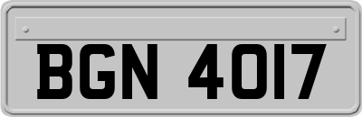 BGN4017