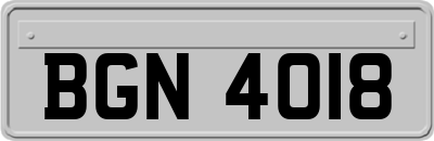 BGN4018