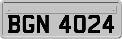 BGN4024