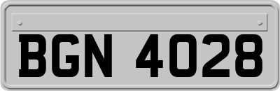 BGN4028