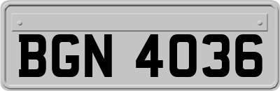 BGN4036