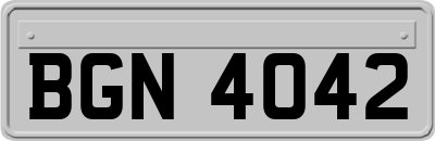 BGN4042