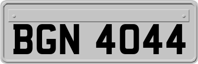 BGN4044
