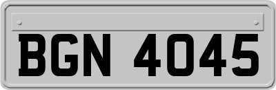 BGN4045