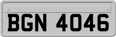 BGN4046