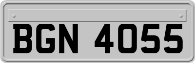 BGN4055