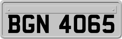 BGN4065