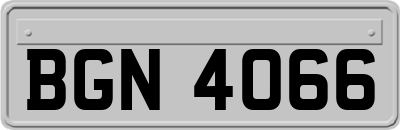 BGN4066