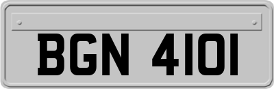 BGN4101