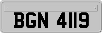 BGN4119
