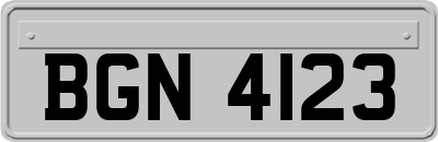 BGN4123
