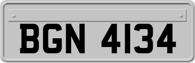 BGN4134