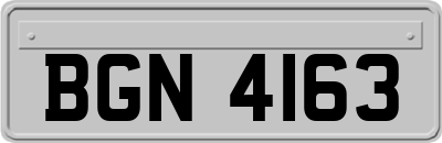 BGN4163
