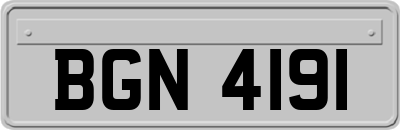 BGN4191
