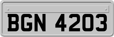 BGN4203