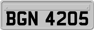 BGN4205