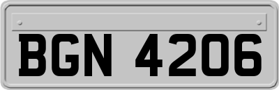BGN4206