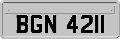 BGN4211