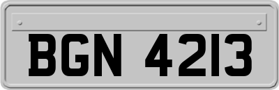 BGN4213