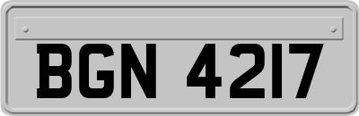 BGN4217