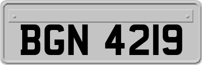 BGN4219